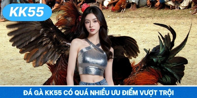 Đá gà KK55 có quá nhiều ưu điểm vượt trội
